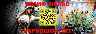 СК Нальчик