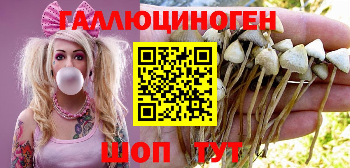 Холмск  Псилоцибиновые грибы ЛСД  Вход с VPN 
