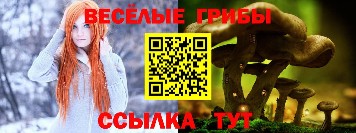 Псилоцибиновые грибы мицелий Холмск