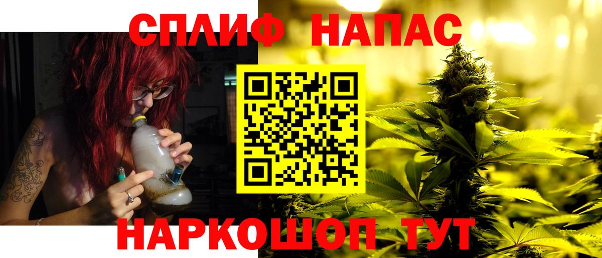 Марихуана Ganja  Бошки марихуана Bruce Banner  Марихуана план  Вход с VPN  Холмск 