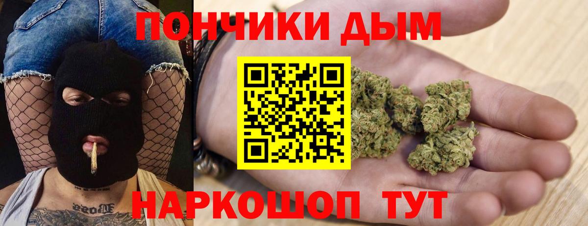 Каннабис сатива Холмск
